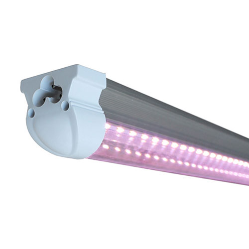 LED Grow Light Rayonled Lighting