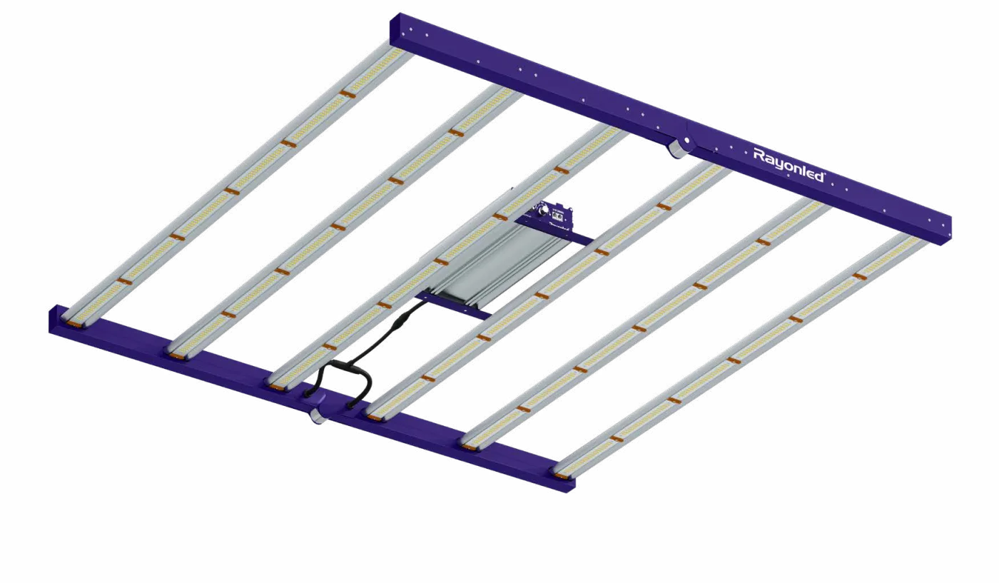 RayonLED GLMF-700E fixture