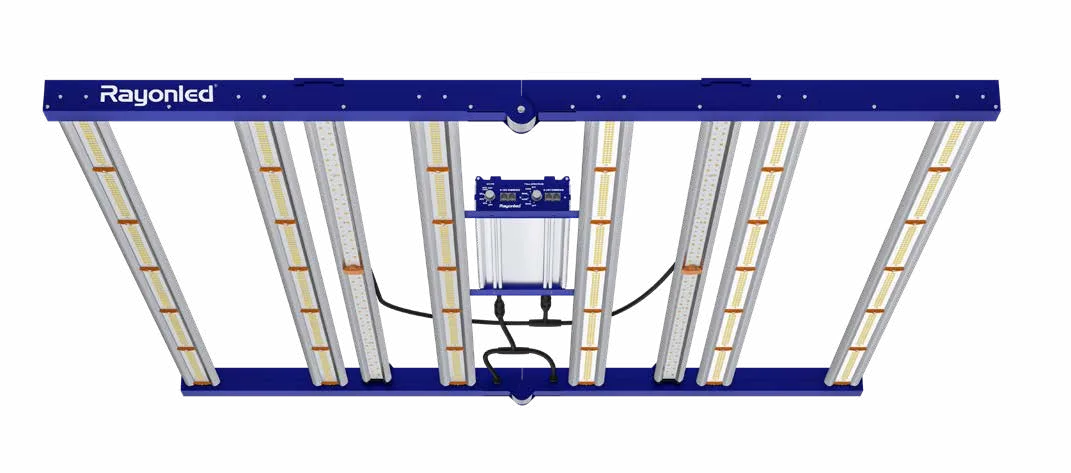RayonLED GLMF-800E top-light fixture