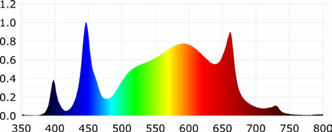 GLMF-800E spectrum chart